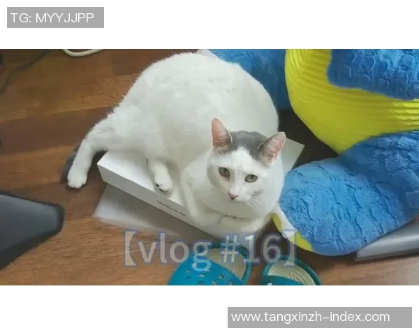 91制片厂糖心vlog兔子传媒-探秘91制片厂—糖心vlog与兔子传媒交织的世界-91制片厂糖心vlog兔子传媒